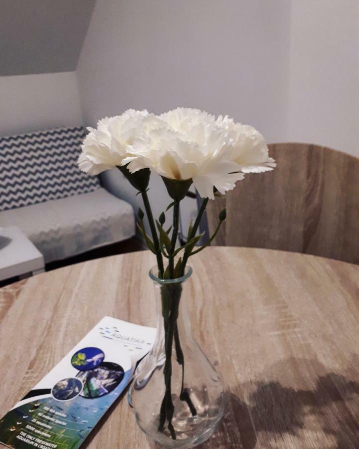 Apartman Lena Tusilovic Buitenkant foto