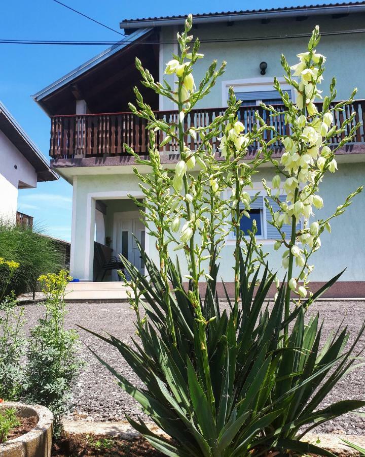 Apartman Lena Tusilovic Buitenkant foto